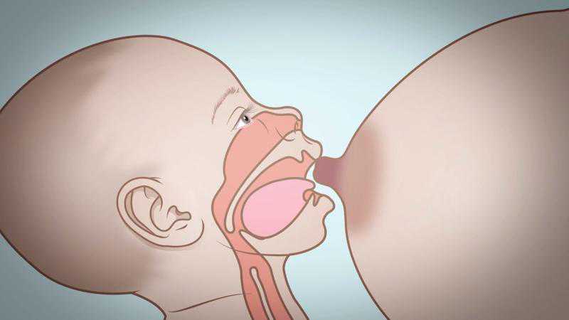 二代代生儿子成功率取卵后多久移植囊胚最佳？